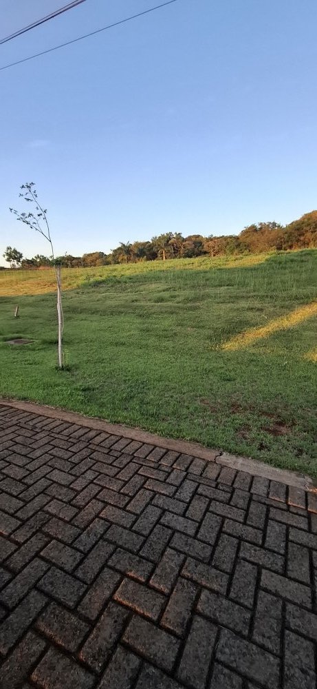 Terreno, 2487 m² - Foto 6