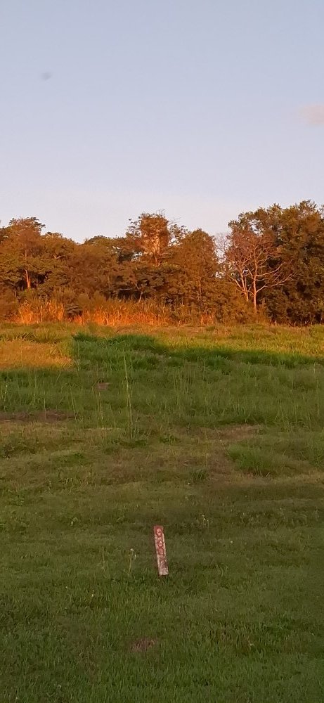 Terreno, 2487 m² - Foto 5