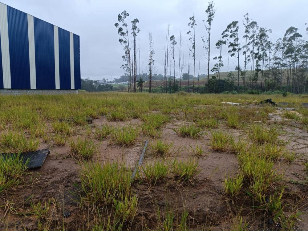 Depósito-Galpão, 4500 m² - Foto 7