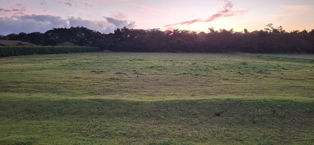 Terreno, 2505 m² - Foto 2