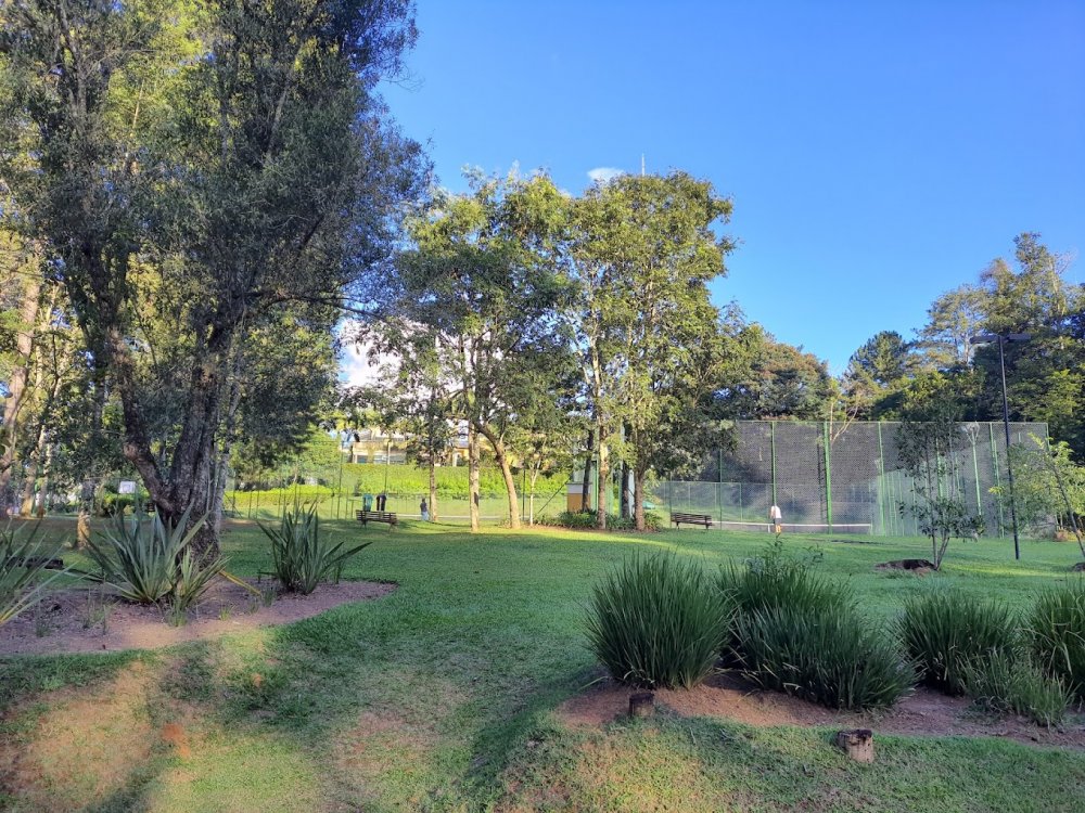 Terreno, 800 m² - Foto 11