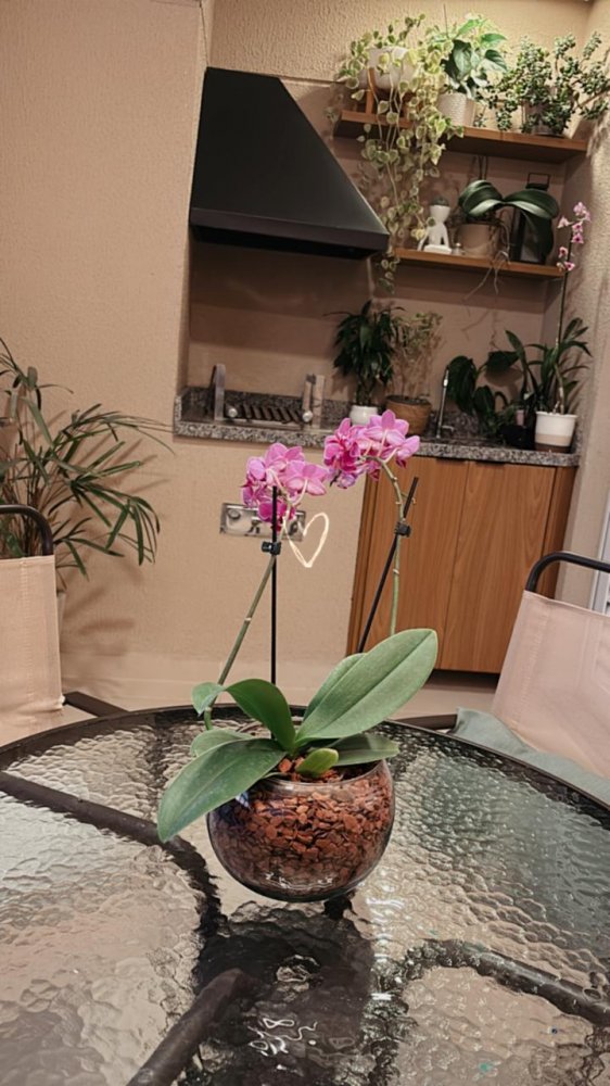 Apartamento, 2 quartos, 67 m² - Foto 23