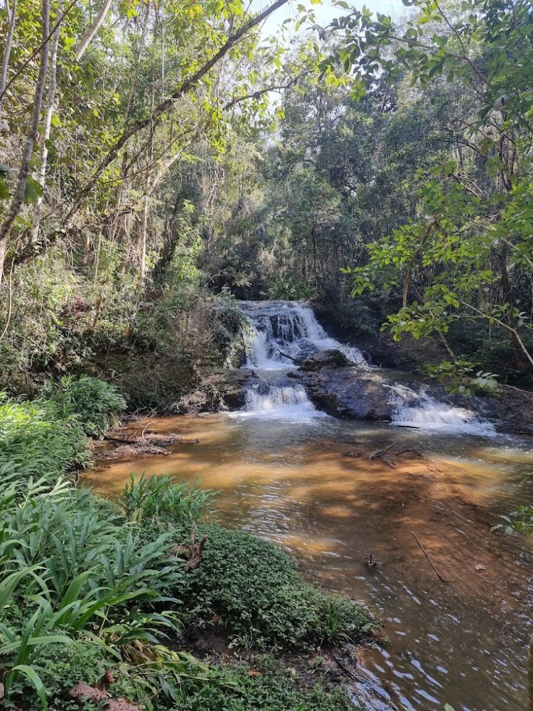 Terreno, 800 m² - Foto 14