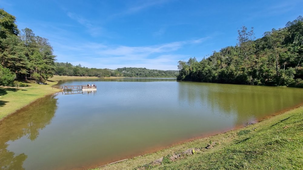 Terreno, 800 m² - Foto 7