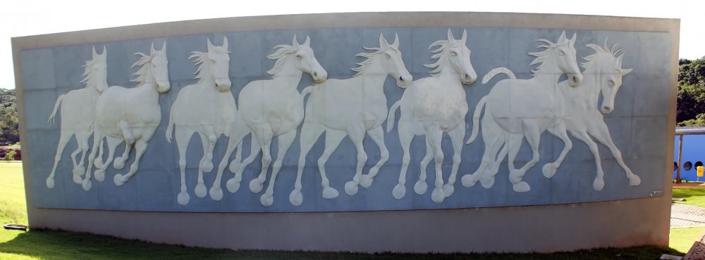 Terreno, 2505 m² - Foto 47